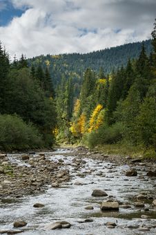 Landscape With A Mountain River Royalty Free Stock Image Landscape With A Mountain River Royalty Free Stock Image