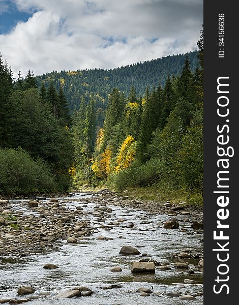 Autumn Landscape with a mountain river. Majestic Carpathian forest