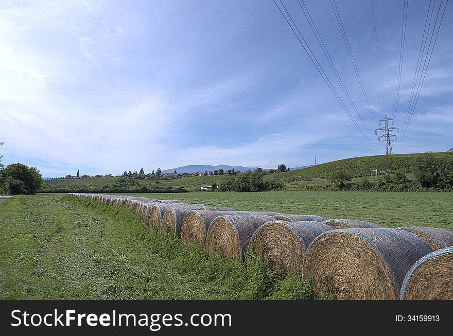 Summer rural landscape, Geneva canton, Switzerland