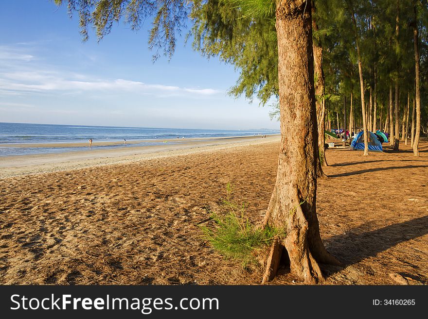 People camping on beach pine at beach Nava Gorn at sea of country, Thailand. People camping on beach pine at beach Nava Gorn at sea of country, Thailand