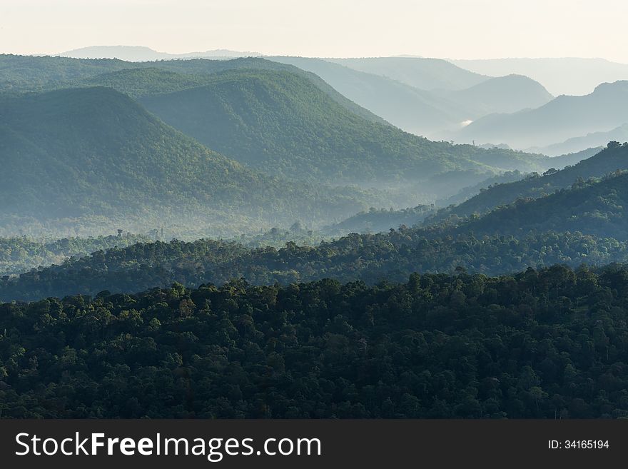 Foggy mountain forest valley from Phu Kheo,Chaiyaphoom Thailand