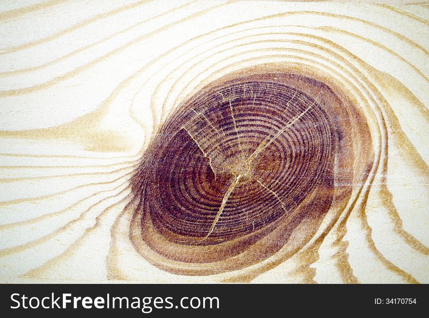 Detailed knot structure on wooden surface