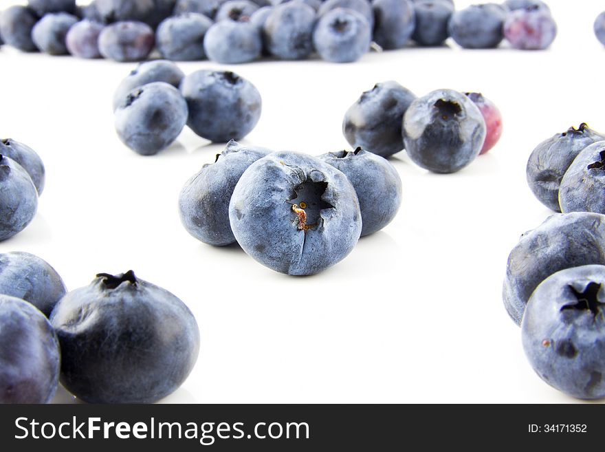 Beautiful Blueberries Closeup