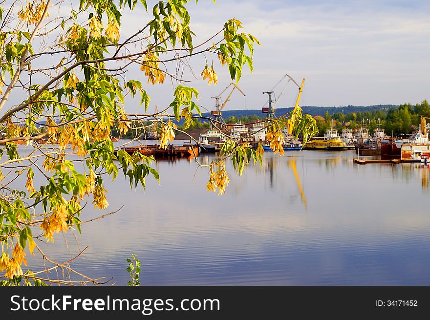 View of the river port through tree branches