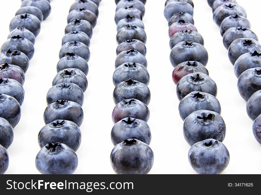 Fresh blueberries put in lines isolated on white background