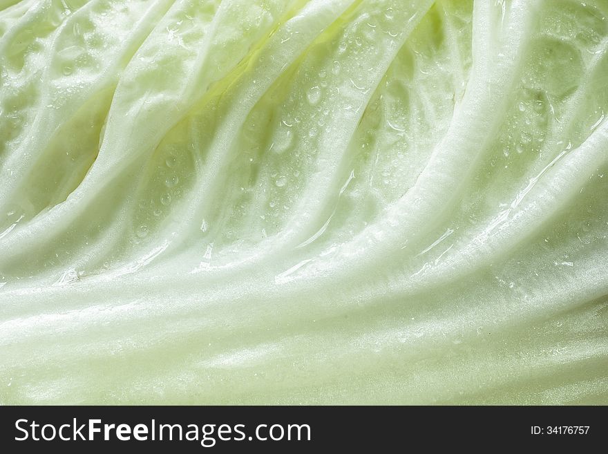 Close up of chinese cabbage fresh leaf with droplet.