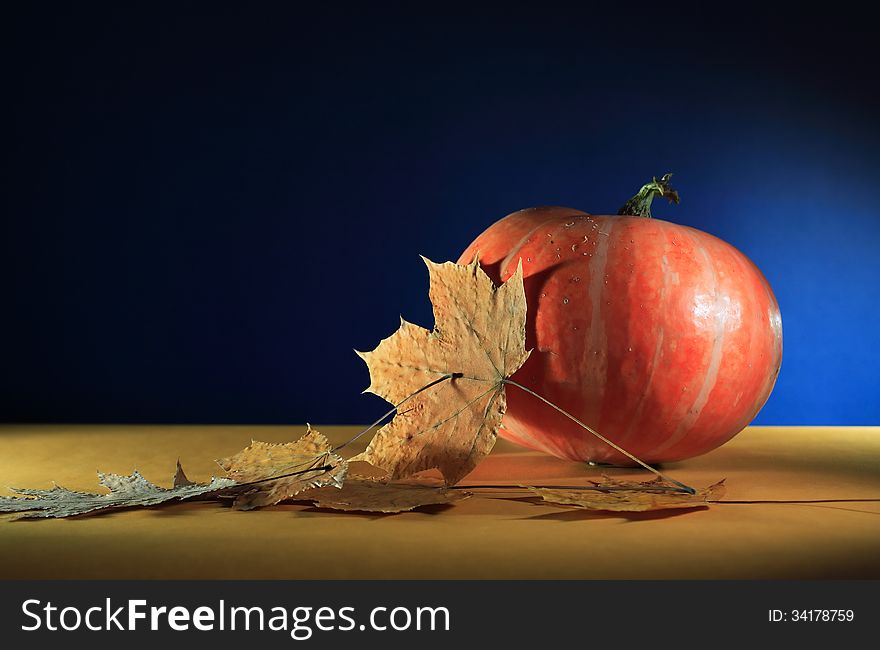 Autumn concept. Ordinary orange pumpkin near dry leaves on nice dark background with free space for text. Autumn concept. Ordinary orange pumpkin near dry leaves on nice dark background with free space for text
