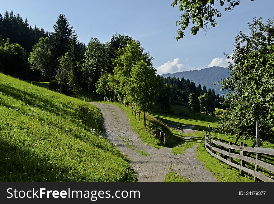 A grassy road junction in a green farmland. Blue skies and white clouds, Austria. A grassy road junction in a green farmland. Blue skies and white clouds, Austria.