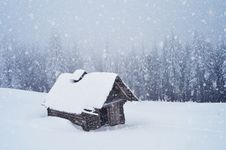 Hut In The Forest Stock Photo Hut In The Forest Stock Photo