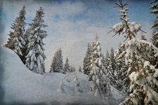 Winter In The Mountain Forest Royalty Free Stock Photos Winter In The Mountain Forest Royalty Free Stock Photos