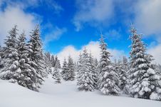 Winter View Royalty Free Stock Photo Winter View Royalty Free Stock Photo