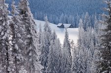 Hut In Winter Forest Stock Image