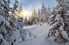 Winter Evening Royalty Free Stock Photos Winter Evening Royalty Free Stock Photos