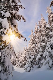 Winter Evening Stock Image Winter Evening Stock Image