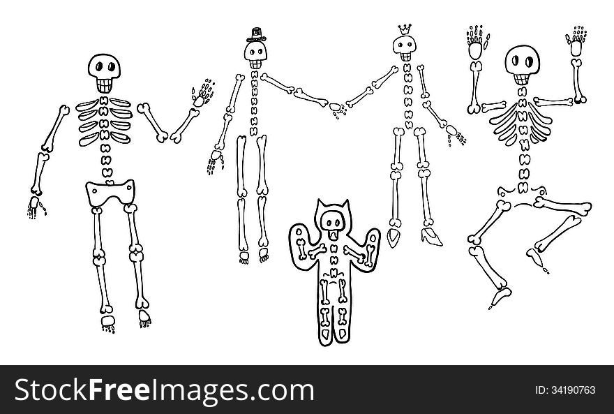 Vector Set Of Hand Drawn Skeletons