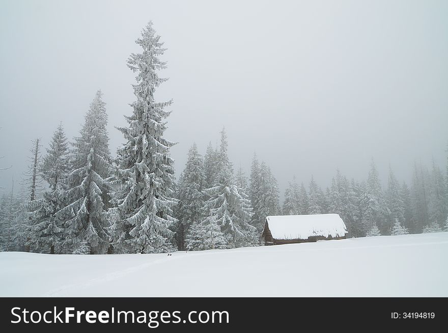 Winter landscape in mountains overcast day. Carpathians, Ukraine. Winter landscape in mountains overcast day. Carpathians, Ukraine