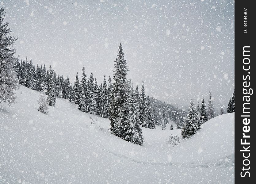 Winter landscape with blowing snow in the mountain valley. Carpathians, Ukraine. Winter landscape with blowing snow in the mountain valley. Carpathians, Ukraine