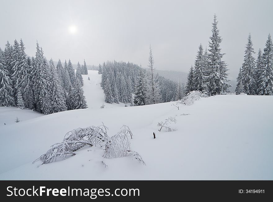 Winter landscape in a mountain valley cloudy day. Ukraine, Carpathians. Winter landscape in a mountain valley cloudy day. Ukraine, Carpathians