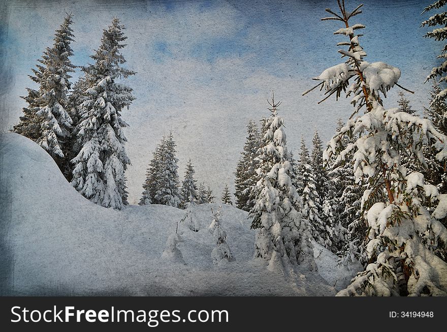Enchanted forest in dark colors. Winter landscape in the winter forest. Christmas theme. Enchanted forest in dark colors. Winter landscape in the winter forest. Christmas theme