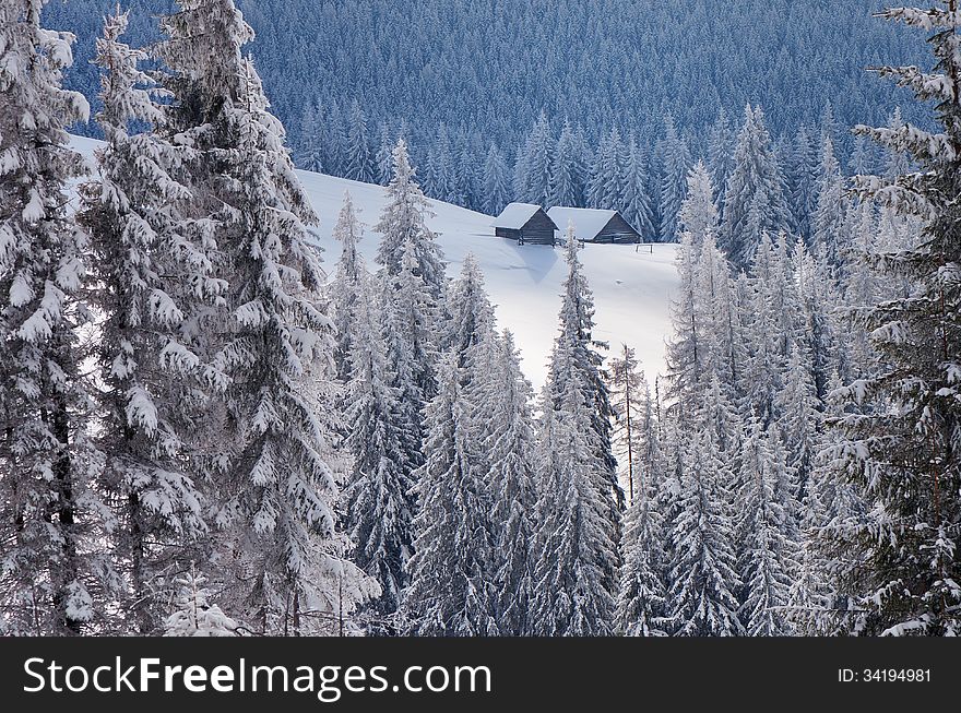 Winter landscape with huts in the mountain spruce forest. Carpathian mountains, Ukraine. Winter landscape with huts in the mountain spruce forest. Carpathian mountains, Ukraine