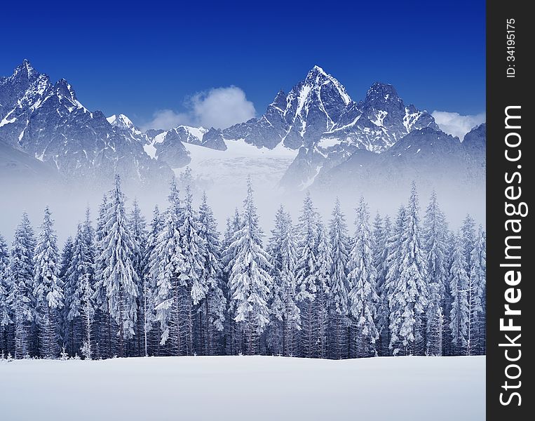 Winter landscape with forest