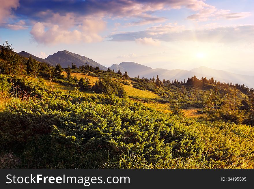 Beautiful landscape on a sunny evening in the mountains. Carpathians, Ukraine