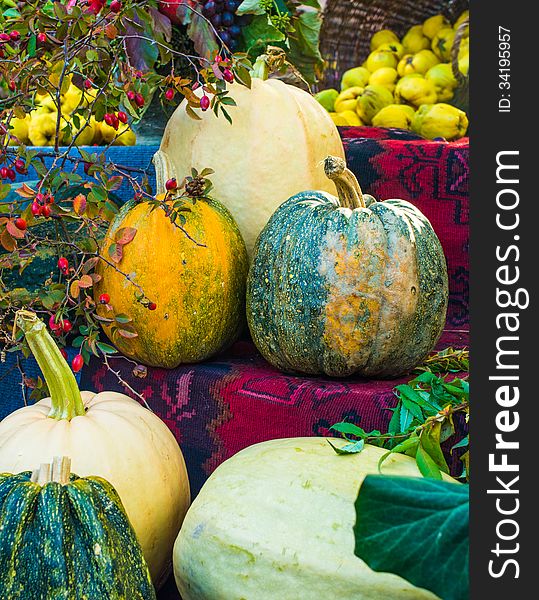 Assorted pumpkins on ethnic carpet