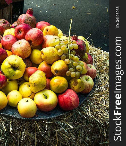 Dish of assorted apples on straw