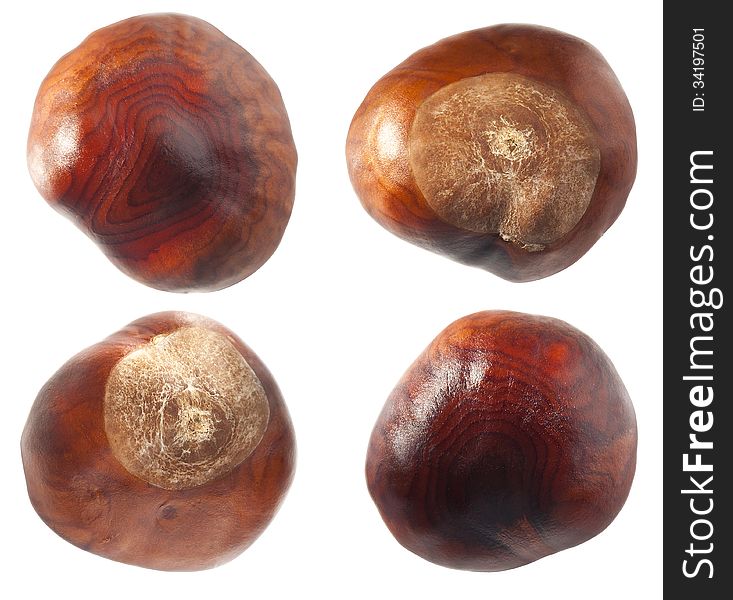 Set of chestnuts. Closeup photo. Set of chestnuts. Closeup photo