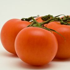 Vine Tomatoes Stock Photos Vine Tomatoes Stock Photos