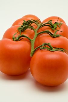 Vine Tomatoes Royalty Free Stock Photo Vine Tomatoes Royalty Free Stock Photo