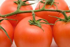 Vine Tomatoes Stock Image Vine Tomatoes Stock Image