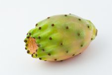 Ficus Indica Stock Photos Ficus Indica Stock Photos