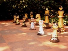 Ruined Wooden Chessmen-I Royalty Free Stock Images Ruined Wooden Chessmen-I Royalty Free Stock Images