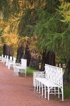 White Benches Royalty Free Stock Images