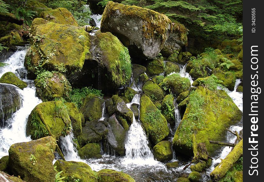 Watson Falls is the high Waterfall in central Oregon. Watson Falls is the high Waterfall in central Oregon.