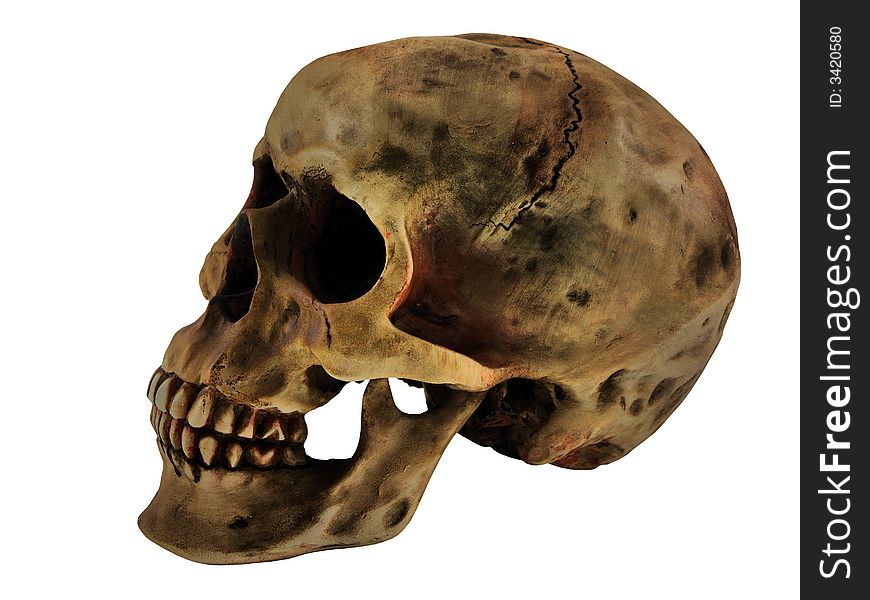 Close up of a human skull isolated on white
