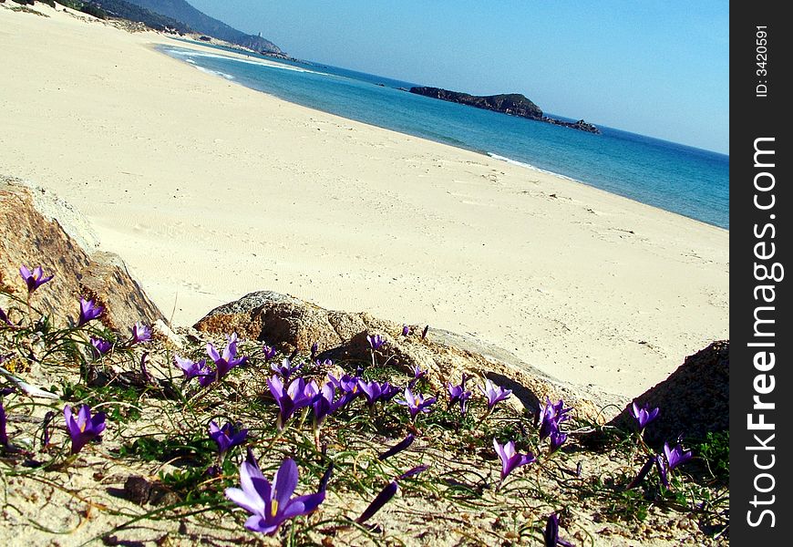 The wild landscape in Chia's Bay (South Sardinia - Italy). The wild landscape in Chia's Bay (South Sardinia - Italy)