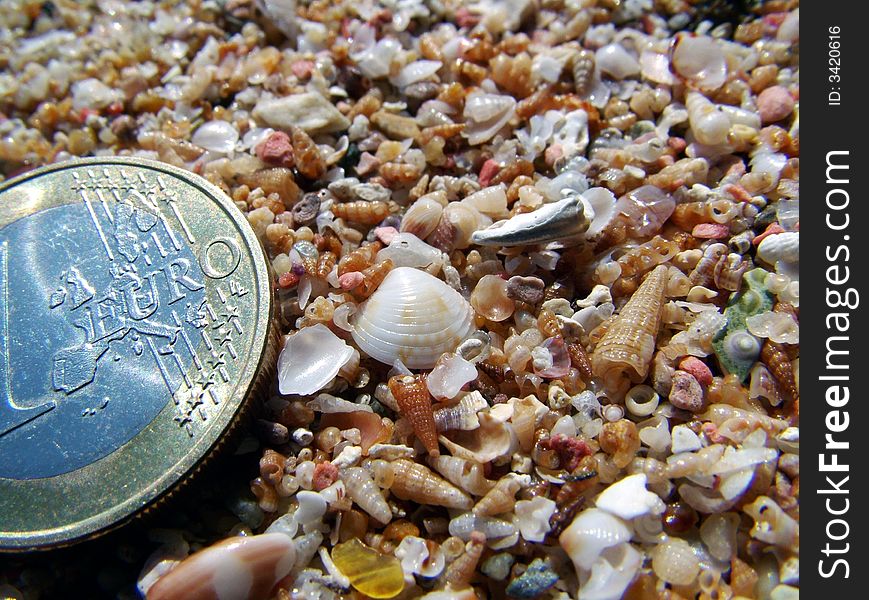 Microshells and coral fragments (Tuerredda Beach - South Sardinia - Italy)