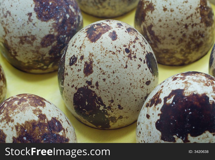 Many spotted quail eggs, focused on one by center