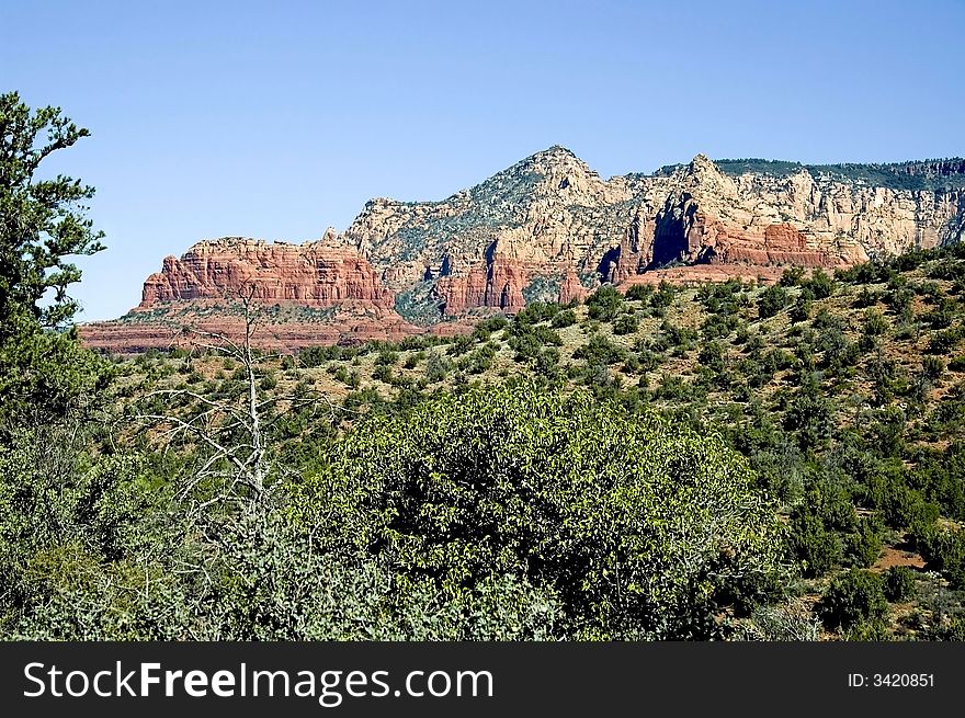 A picture of the green vegetation and sedona mountains in the background. A picture of the green vegetation and sedona mountains in the background