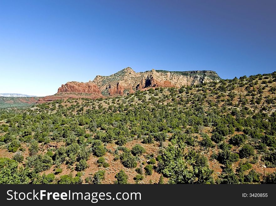 A picture showing the desert vegitation and a rocky mountain top in the background. A picture showing the desert vegitation and a rocky mountain top in the background