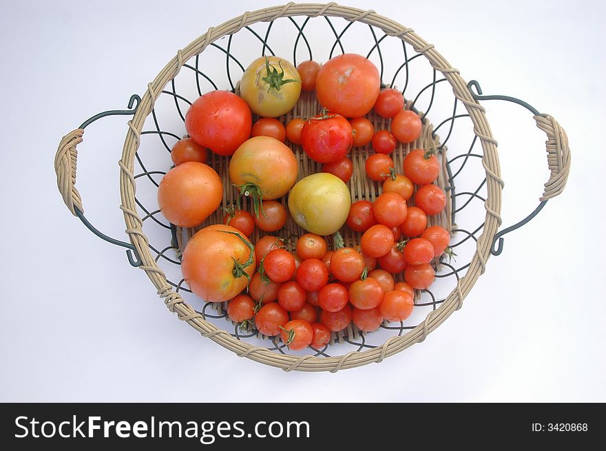 Variety of freshly picked tomatoes in wire basket, isolated on white. Variety of freshly picked tomatoes in wire basket, isolated on white