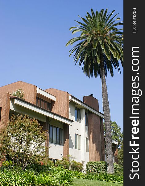 Brick and stucco two-story home with palm tree and blue sky. Brick and stucco two-story home with palm tree and blue sky.