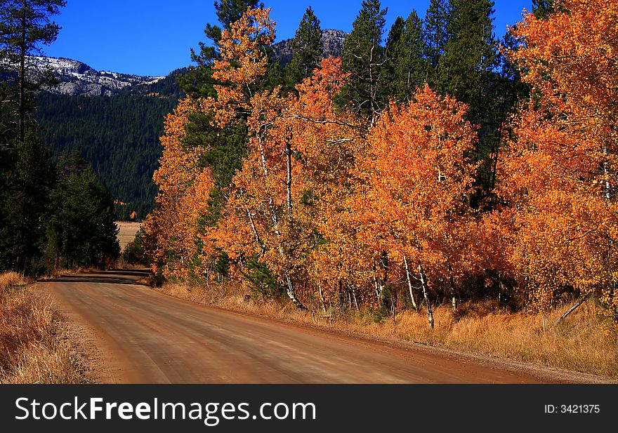 Country road in the peak of autumn colors, Idaho. Country road in the peak of autumn colors, Idaho