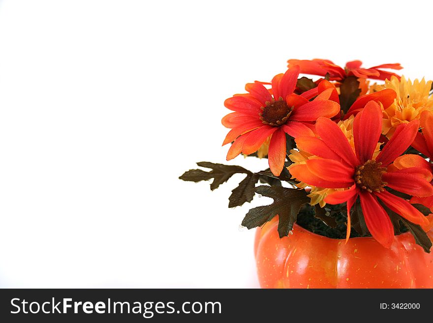 Isolated Halloween Flowers Arrangement in a Pumpkin