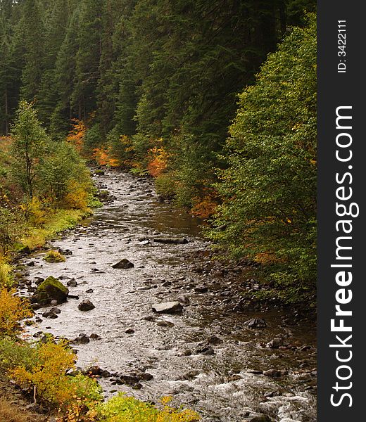 This is a pretty river surrounded by aspen trees in autumn. Shot in Oregon. This is a pretty river surrounded by aspen trees in autumn. Shot in Oregon.