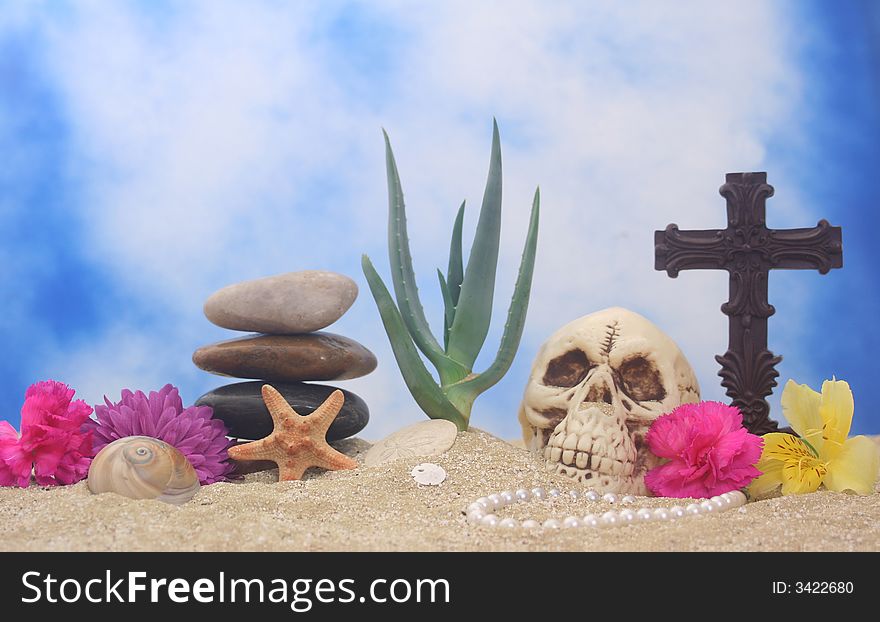 Aloe Plant with Flowers and Skull on Sand With Water Reflection, Shallow DOF. Aloe Plant with Flowers and Skull on Sand With Water Reflection, Shallow DOF