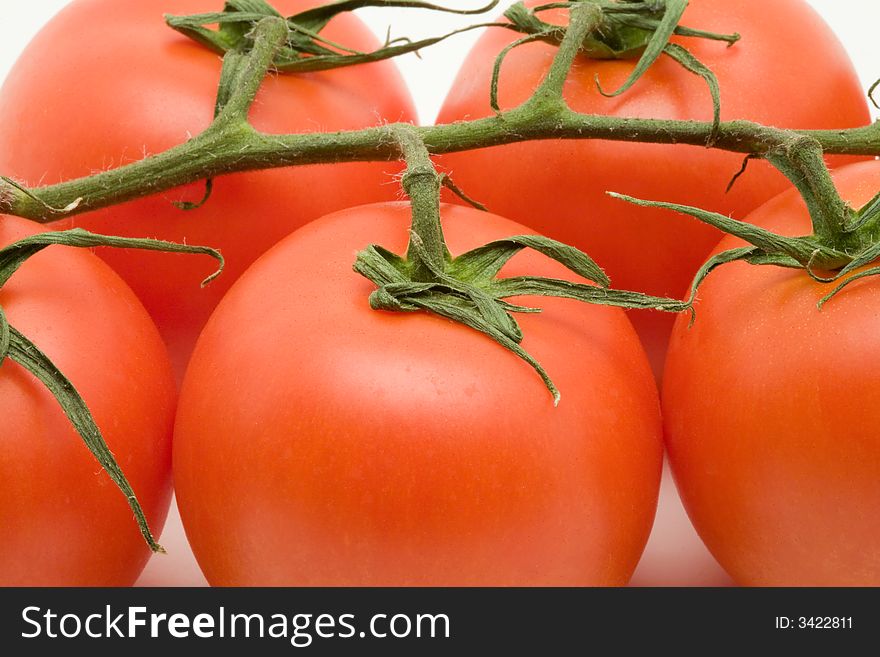 Close-up of vine tomatoes on a white background