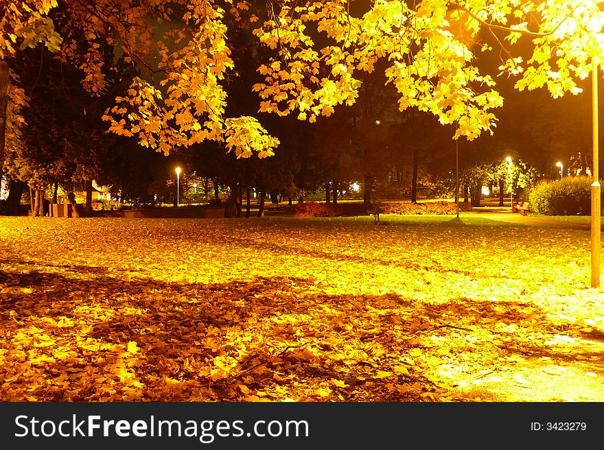 Very beautiful autumn night in city park